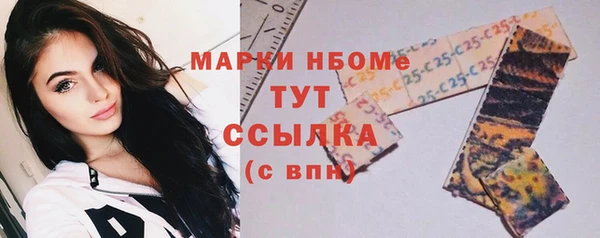 гидра Бронницы