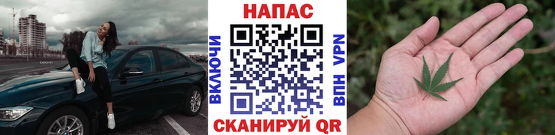 Марихуана индика  Буй 